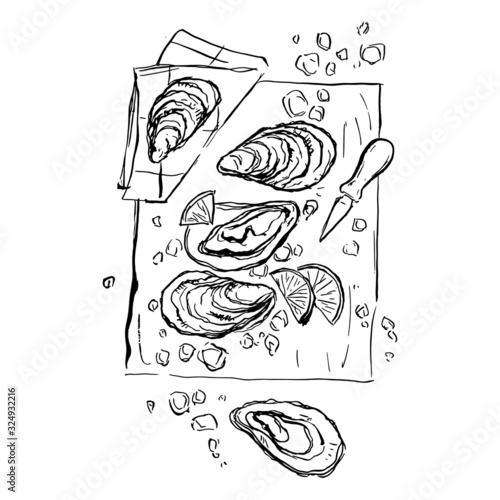 Food illustration. Oysters with lemon.