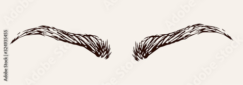 Eyebrow. Vector drawing icon sign