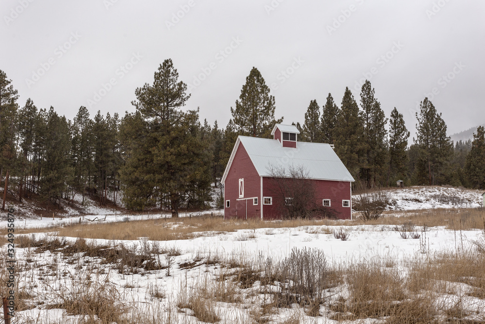 Red barn in snowy field with tall evergreens on gloomy day