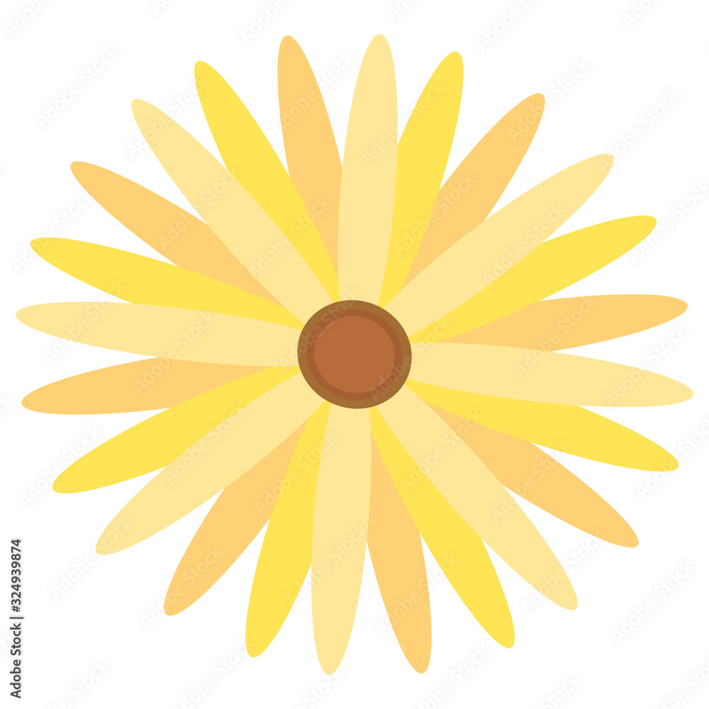 Isolated beautiful flower Isolated beautiful flower