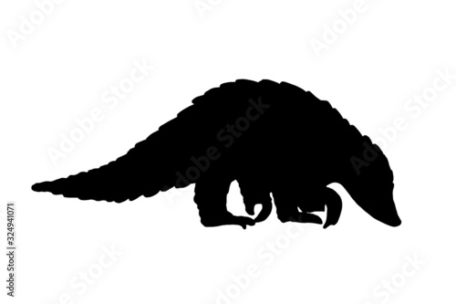 pangolin animal black isolated silhouette