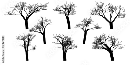Black silhouettes of naked vector trees. Set isolated on a white background.