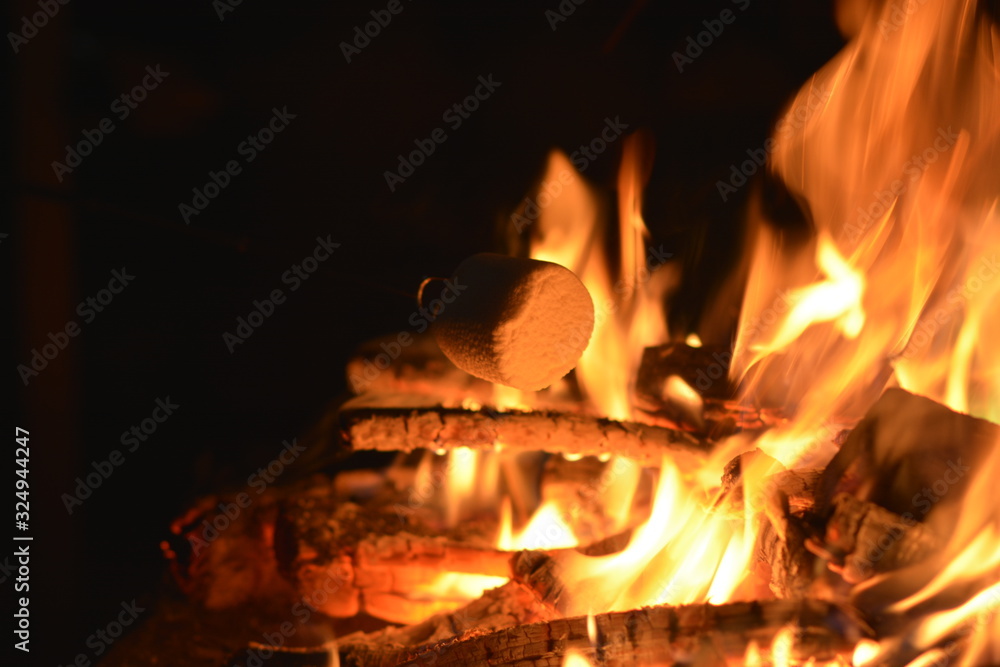 Fototapeta premium Roasting S'mores 