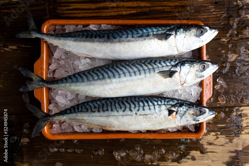 Directly above view of whole mackerel on ice photo