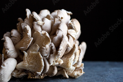 Side view of maitake mushroom