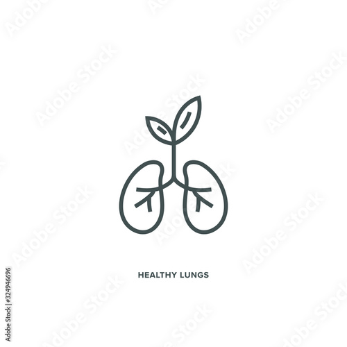 Lungs and Leafs Vector Icon of to Visualise a Green Environment and Fresh, Unpolluted Air. Line Art; Illustrator EPS10.