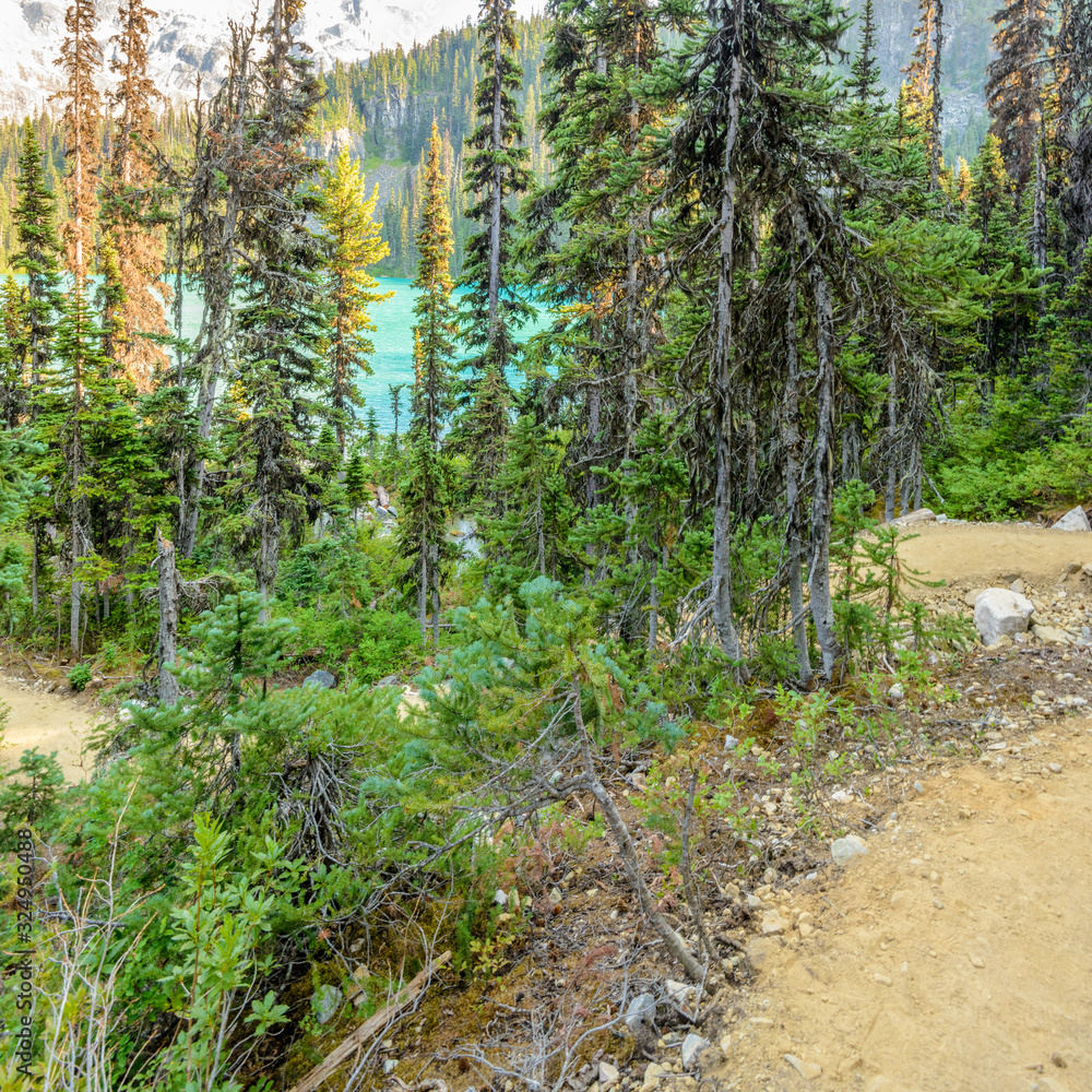 Obraz premium Beautiful Mountain Trail View at Joffre Lakes, British Columbia, Canada.