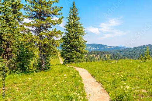 Beautiful Mountain Trail. Blackwall Peak Trail at Manning Park in British Columbia. Canada.