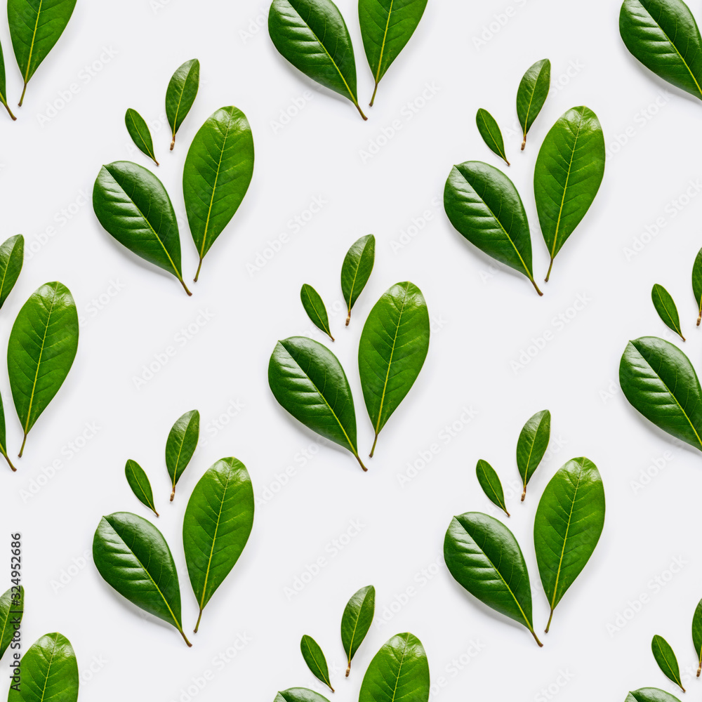 Seamless photo pattern with fresh green leaves on white background. Seamless photo pattern with fresh green leaves on white background.