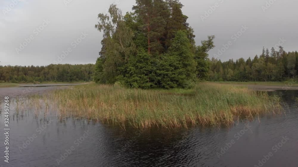 Forest lake green pine and reeds island reveal aerial backward Forest lake green pine and reeds island reveal aerial backward