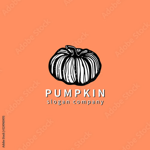 Logo with decoral pumpkin. Abstract floral emblem, design concept, logotype element for template. photo