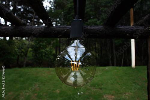 carbon filament lamp in garden