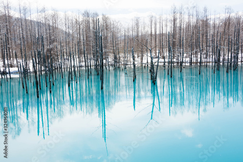 氷が溶け始めた冬の湖 美瑛町青い池