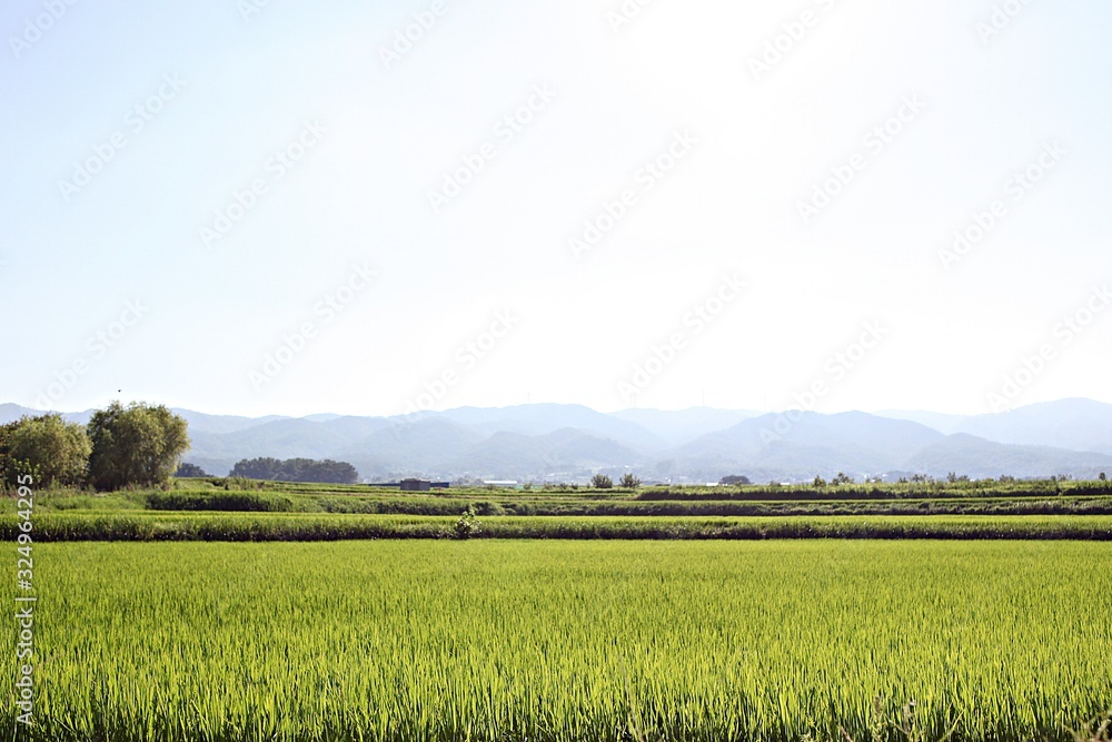 Fototapeta premium 여행중에찍힌것들