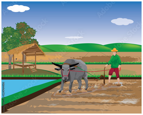 farmer plow in paddy field vector design