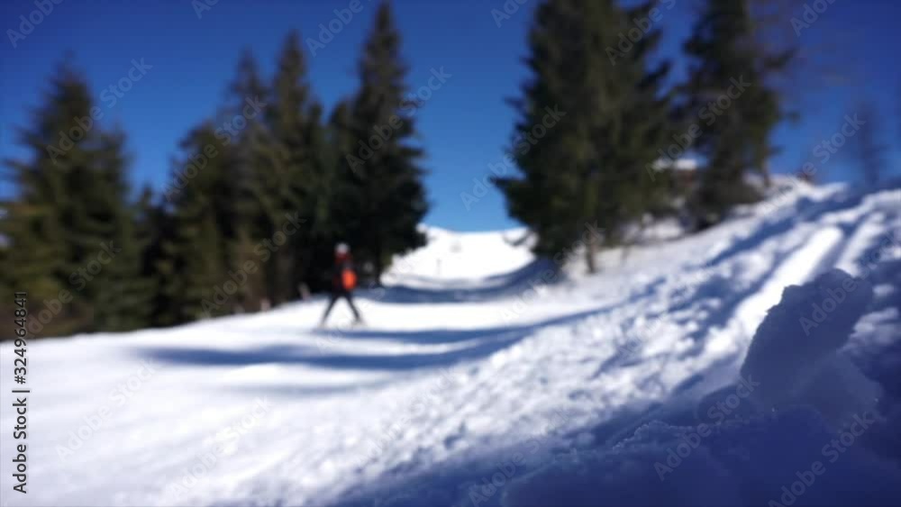 Skiers silhouettes in a ski suits slowly skiing downhill on a forest background. White snow foreground, close-up. Ski resort in the snowy mountain woods on a bright winter day. Skiers silhouettes in a ski suits slowly skiing downhill on a forest background. White snow foreground, close-up. Ski resort in the snowy mountain woods on a bright winter day.