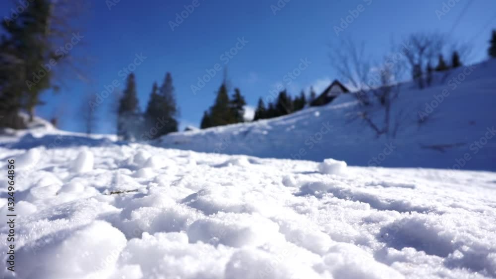 Skier silhouette in a ski suit slowly skiing downhill on a clear blue sky background. White snow foreground. Ski resort in the snowy mountain woods on a bright winter day.