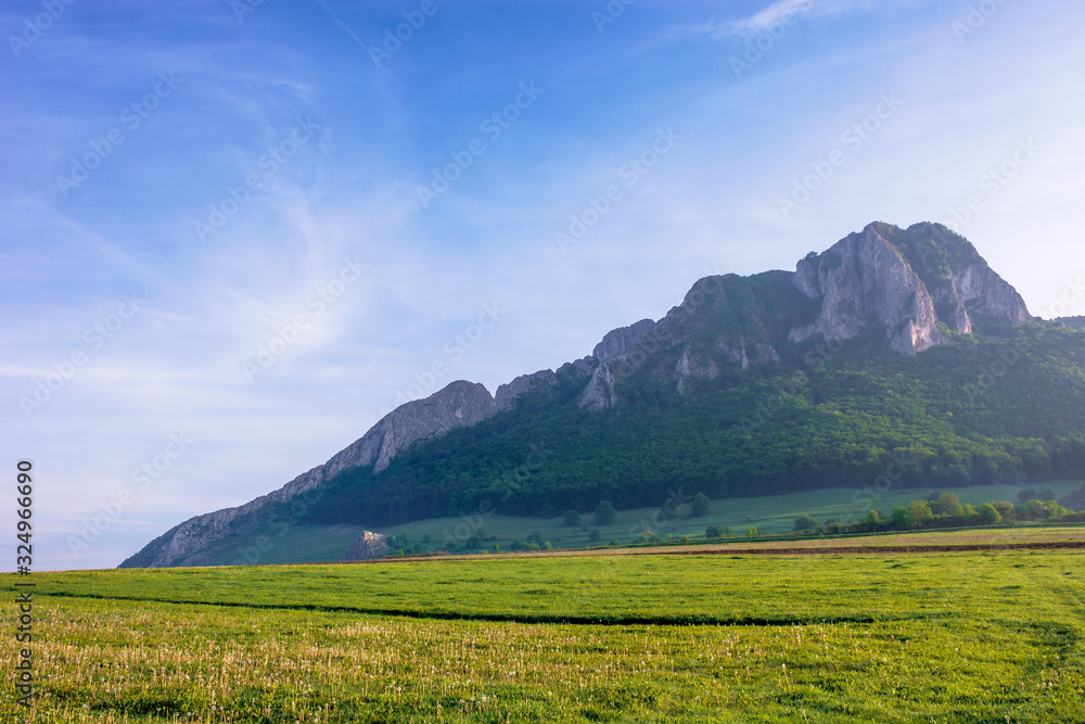rock formation on the field at sunrise. beautiful rural landscape in mountains. wonderful scenery in spring. clouds on the blue sky. forest on the hills