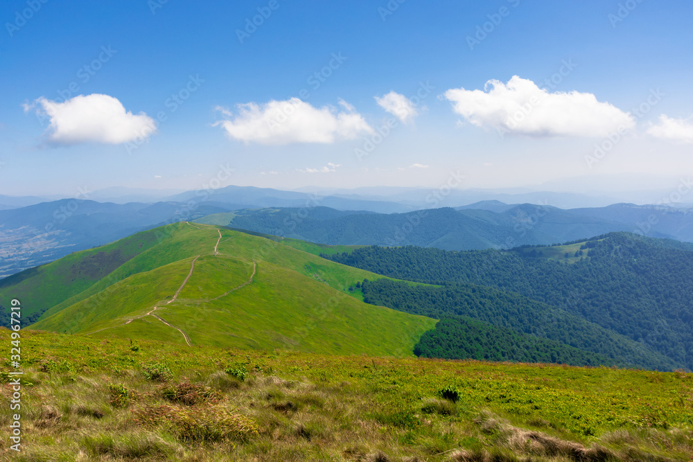 green rolling hills of mountain ridge borzhava. grassy alpine meadows beneath a blue sky with some clouds. beautiful summer landscape of carpathian highlands. sunny weather