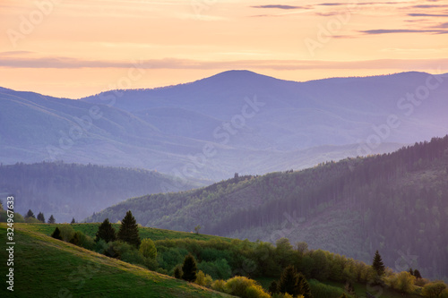 mountainous countryside in springtime at dusk. trees on the rolling hills. ridge in the distance. clouds on the sky. beautiful rural landscape of carpathians
