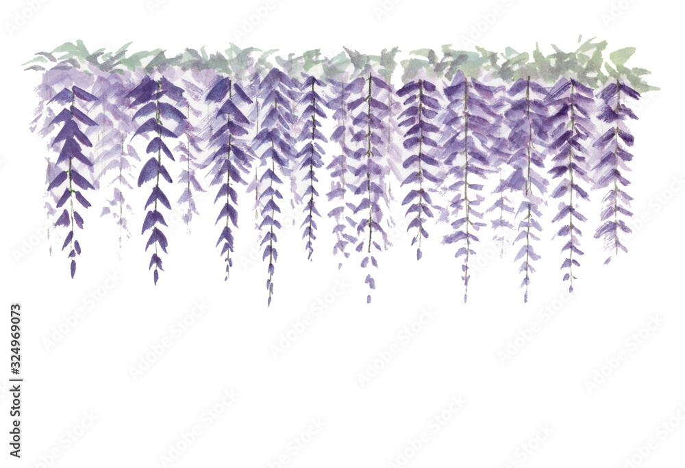 藤の花 彩墨画 水墨画 墨絵 Stock イラスト Adobe Stock