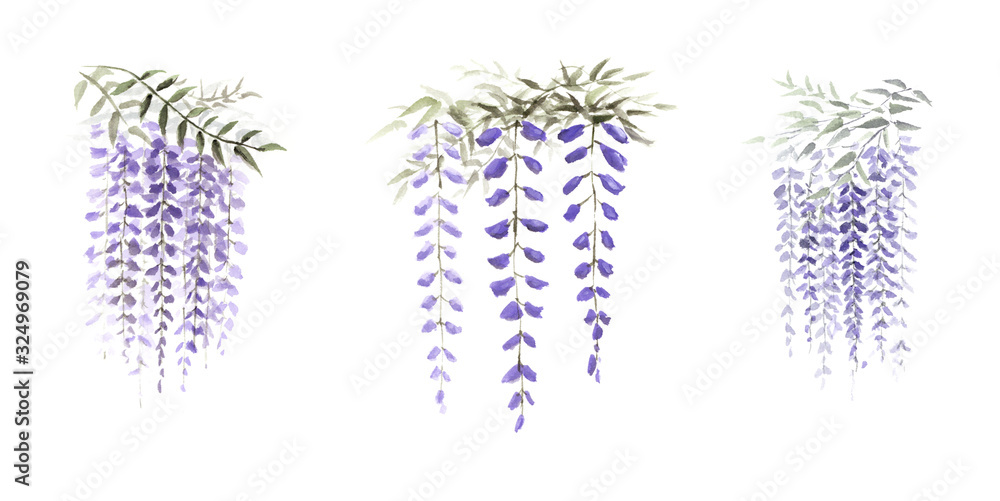 藤の花 水墨画 彩墨画 墨絵 Stock Illustration Adobe Stock