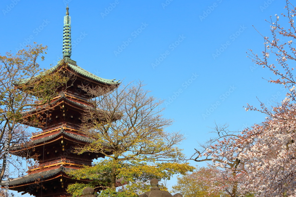 Ueno 5-Story Pagoda with Cherry Blossom Ueno 5-Story Pagoda with Cherry Blossom