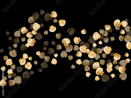 Oceanic scallop bivalve pearl shells gold mollusks