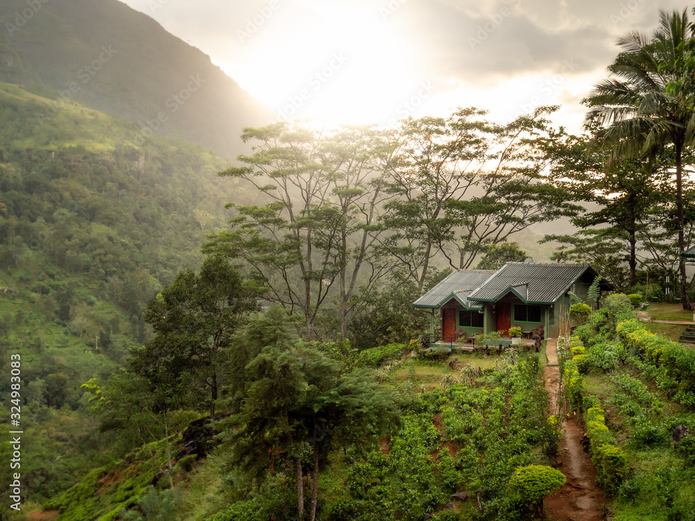 Beautiful small wooden house on the mountain hill in jungle forest at sunrise