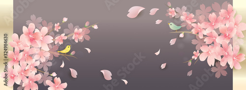 春の花　桜　spring cherry blossom　background	
