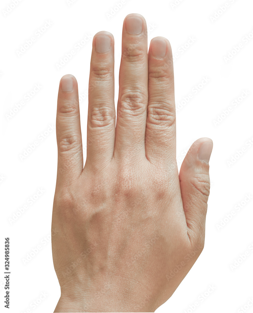 blood veins on white background. blood veins on white background.