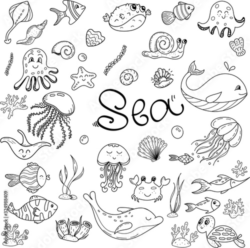 vector set of doodles with marine inhabitants, coloring book