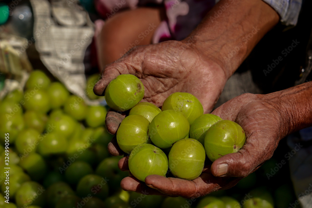 Man holding the gooseberry fruit on hand in street vegetable market, kolkata Man holding the gooseberry fruit on hand in street vegetable market, kolkata