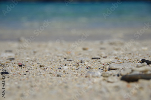 Wallpaper Mural Close up of Coral Sand on Beach Torontodigital.ca