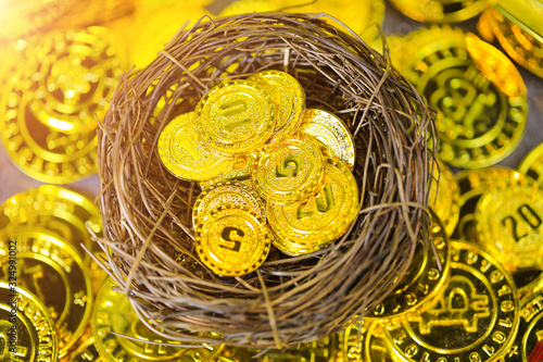 Wallpaper Mural Gold coins in the nest Torontodigital.ca