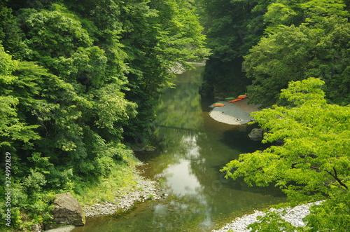 River in forest, Okutama, Tokyo