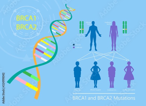 BRCA gene test for breast and ovarian cancer