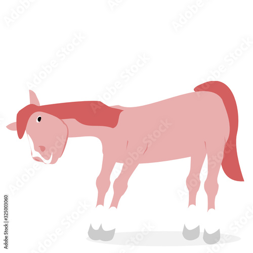 Pony