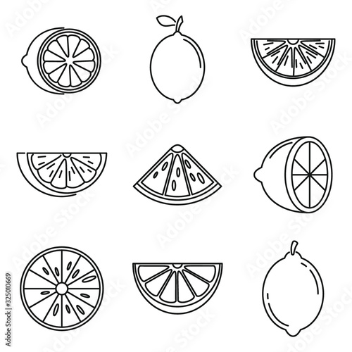 Tropical lime icons set. Outline set of tropical lime vector icons for web design isolated on white background