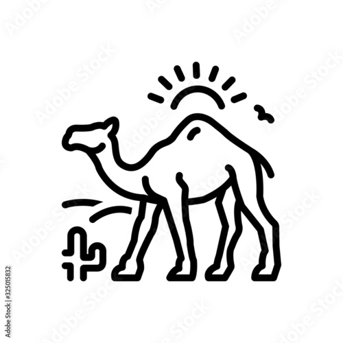 Black line icon for camel in desert with sun 