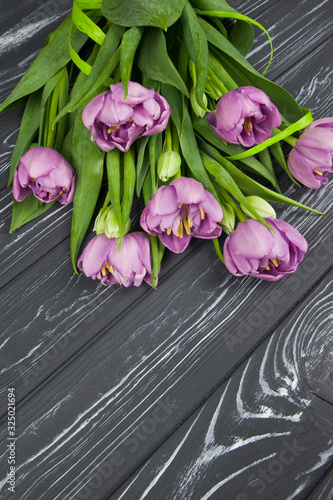 flower, tulip, pink, bouquet, spring, tulips, tree, holiday, flowers, nature, isolated, white, green, easter, wooden background