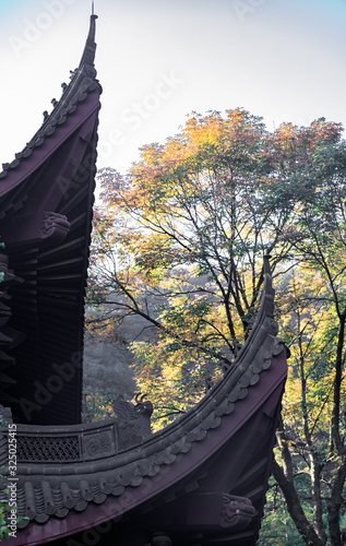 The cornices and arches of Yongfu temple, feilaifeng, Hangzhou, Zhejiang Province, China photo