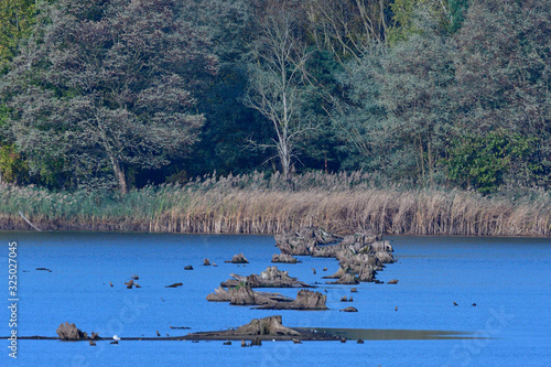 Der Tauerwiesenteich im Herbst photo