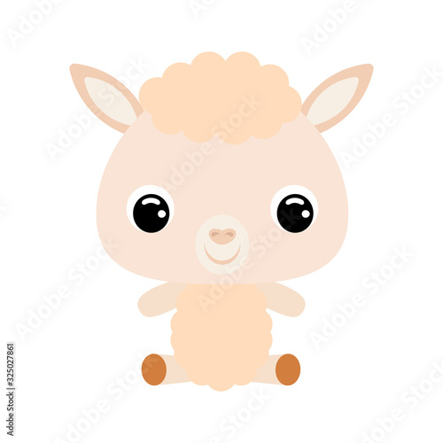 Cute little sitting alpaca. Domestic animal. Flat vector stock illustration