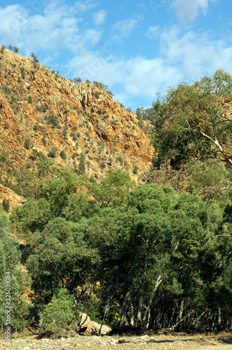 Scenery, Ikara-Flinders' Ranges National Park, SA, Australia