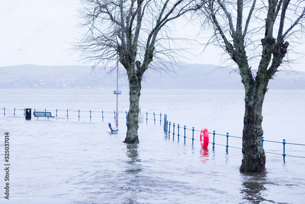 Εκτύπωση καμβά Tree in deep flood water as sea flows deep in street at seaside town Gourock Inv