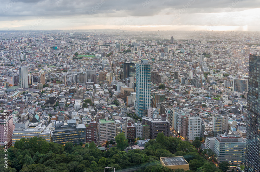 Tokyo suburb cityscape aerial with endless urban sprawl and green park