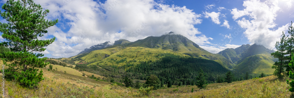 Mountain landscape panorama with green summer forest