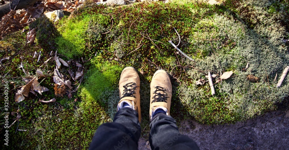 Chaussure mousse voyage marche- randonnée mousse nature Stock Photo | Adobe  Stock