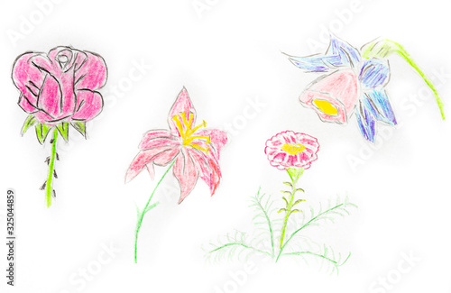Viele Blumen Zeichnung auf Papier
